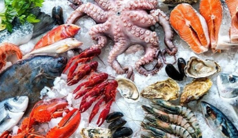 Hải sản tươi ngon mua ở đâu đảm bảo chất lượng và an toàn?