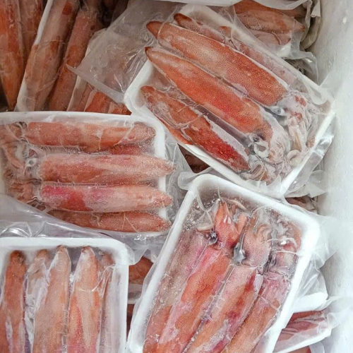 Mực Ống Tươi